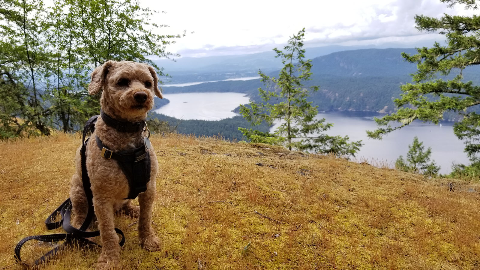 Salt Spring Island