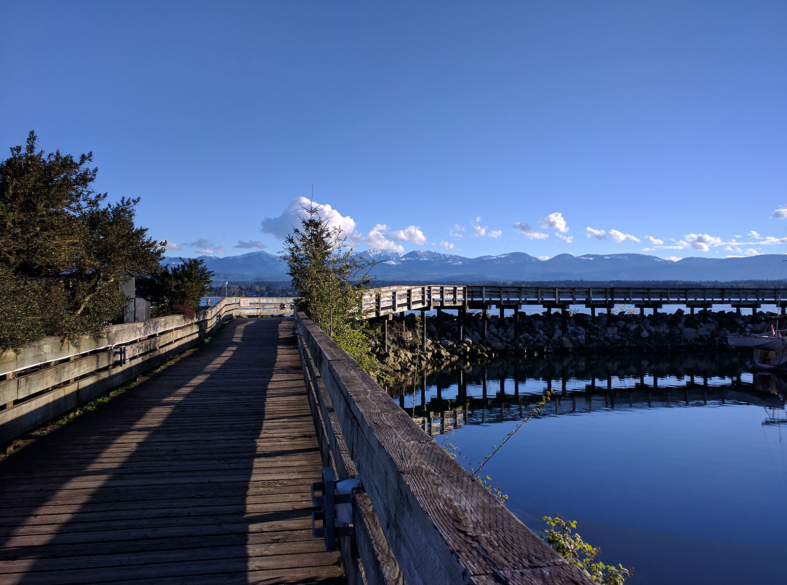 Comox Marina