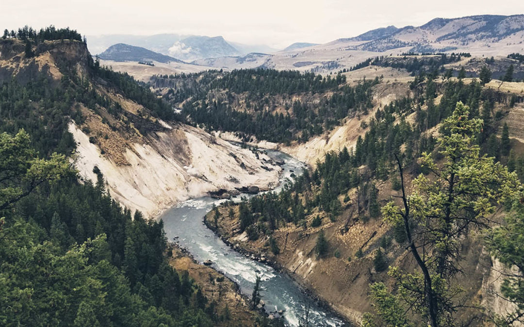 Wyoming & Yellowstone Park