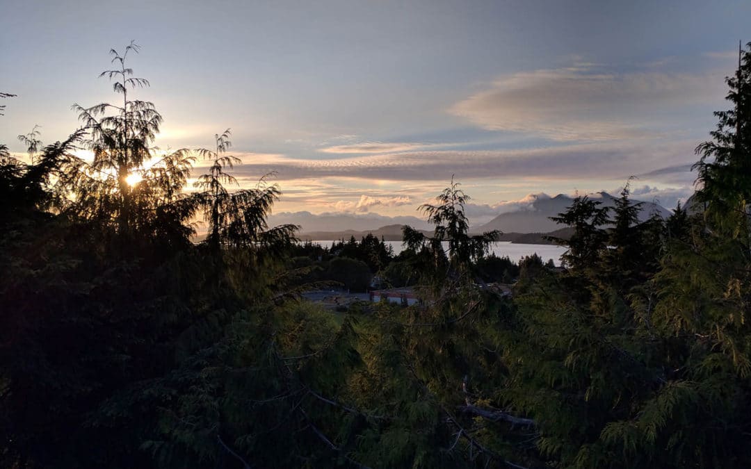 Tofino