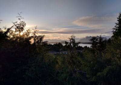 Tofino