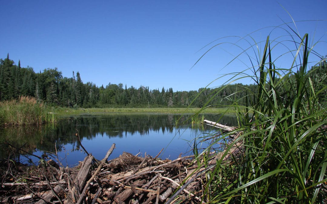 The Lake & Kenora