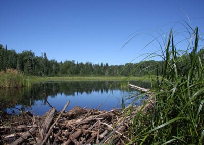 The Lake & Kenora