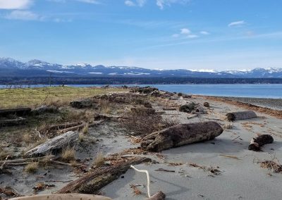 Denman Island