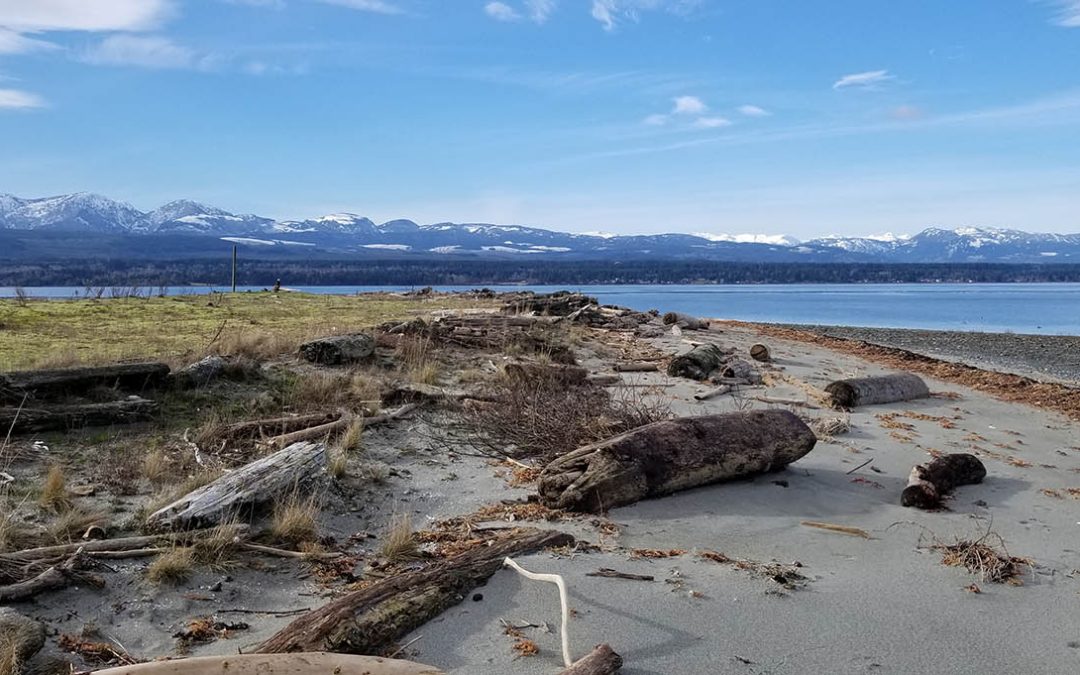 Denman Island