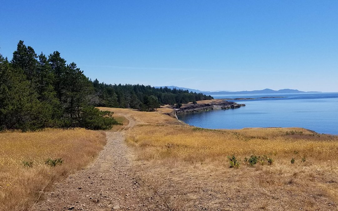 Hornby Island